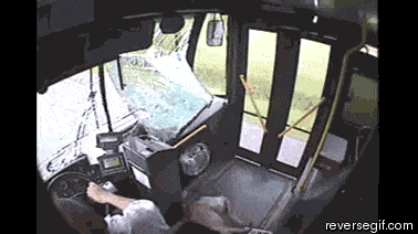 Bus+deer+version+2_cc6dc9_4593363.gif