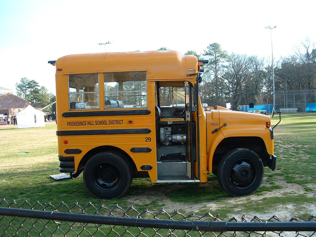 Bus-Short.jpg