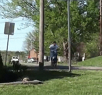 bZTv60zrA3l0A.gif