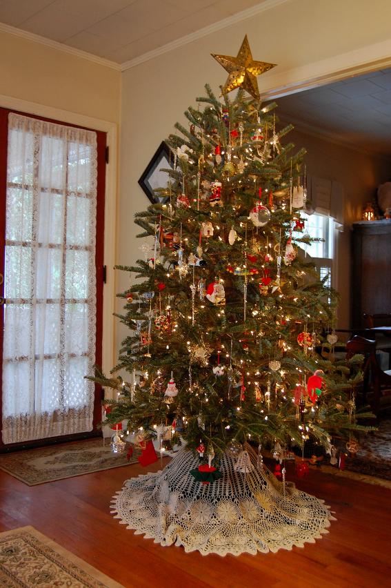 C tree.jpg