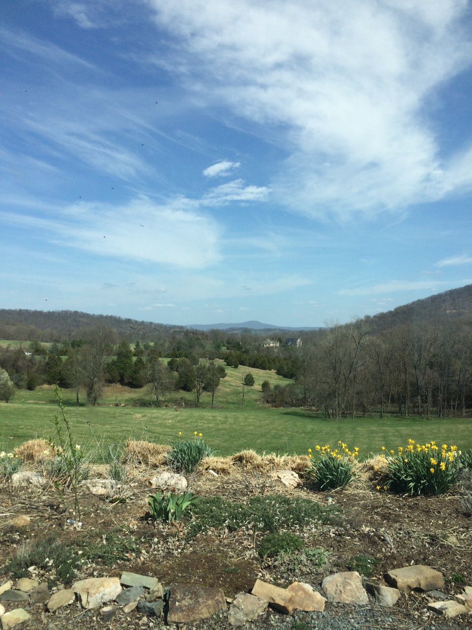 C0554037-066C-428E-B14B-2B91198F10E1.jpeg