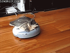 C75318E4-71EA-42E8-91D0-A532F1CA7442.gif