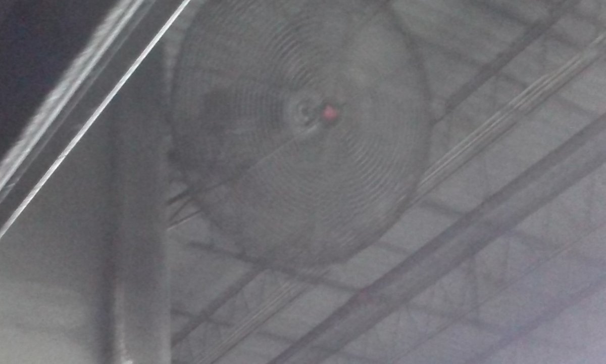 CAM00024.jpg