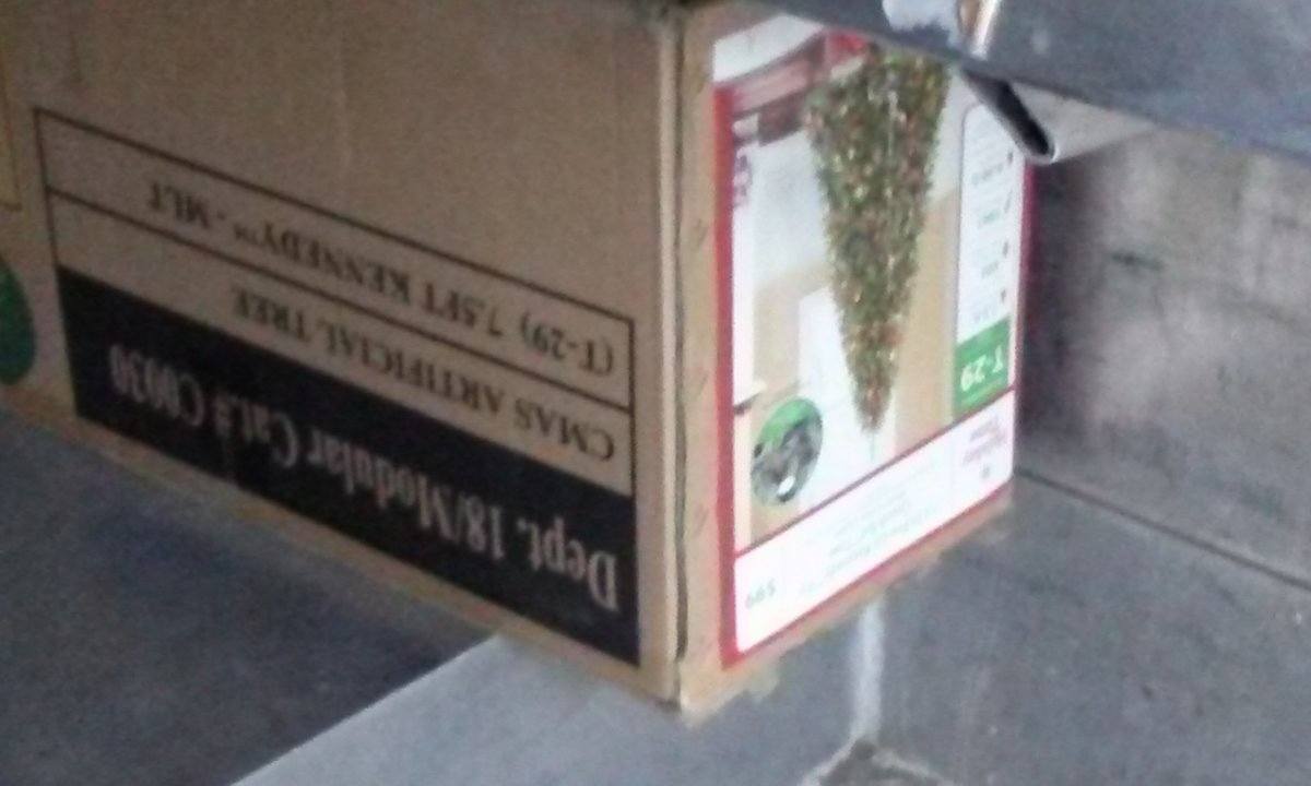 CAM00038.jpg
