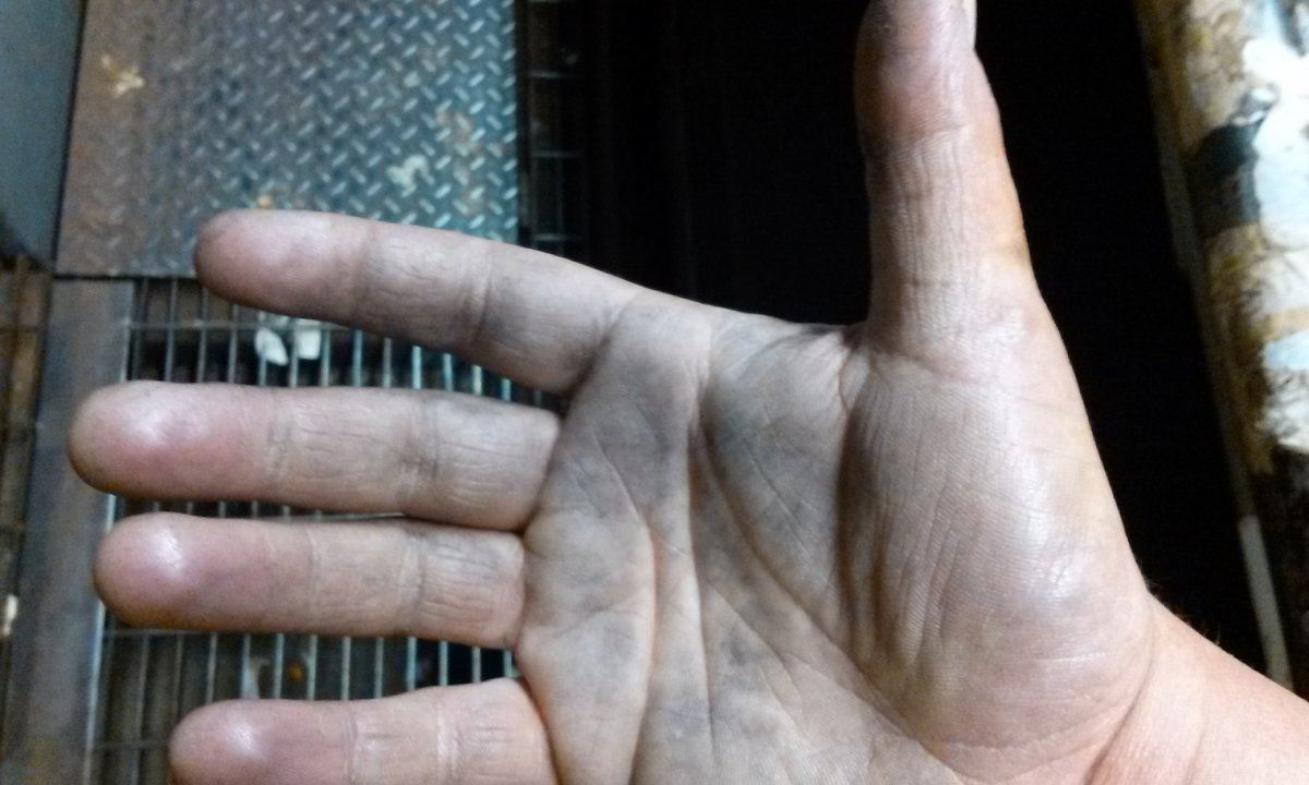 CAM00166.jpg