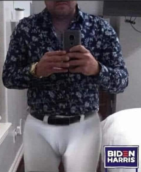 Camel Toe Biden Male Voters.jpg