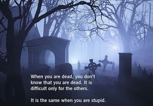 Cant-argue-with-that-4.jpg