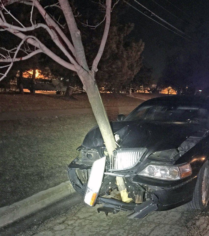 car-with-tree-in-front-end-photo-from-roselle-police-dept-facebook-page.jpg