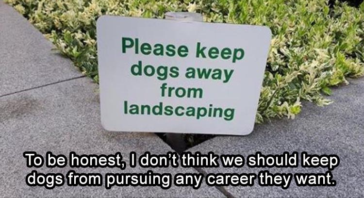 career-it-wants.jpg