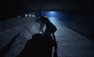CarefulQuickGoldenmantledgroundsquirrel-max-1mb.gif