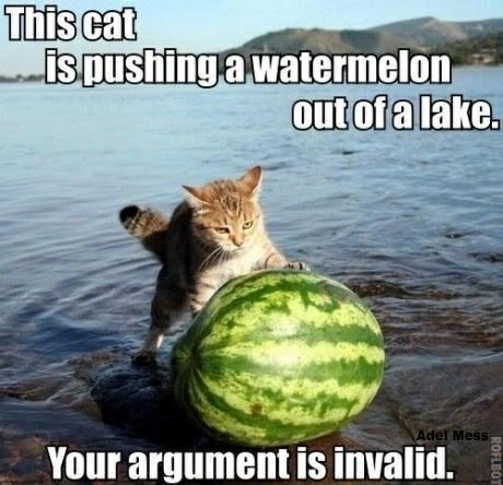 Cat.jpg