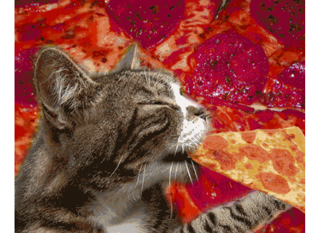 cateatspizza.gif