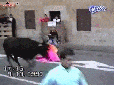 cattle.gif