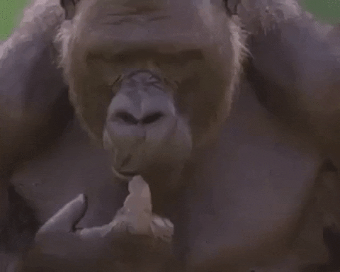 CCEB4AD4-70F2-4E92-A111-5D55A37A8EE7.gif