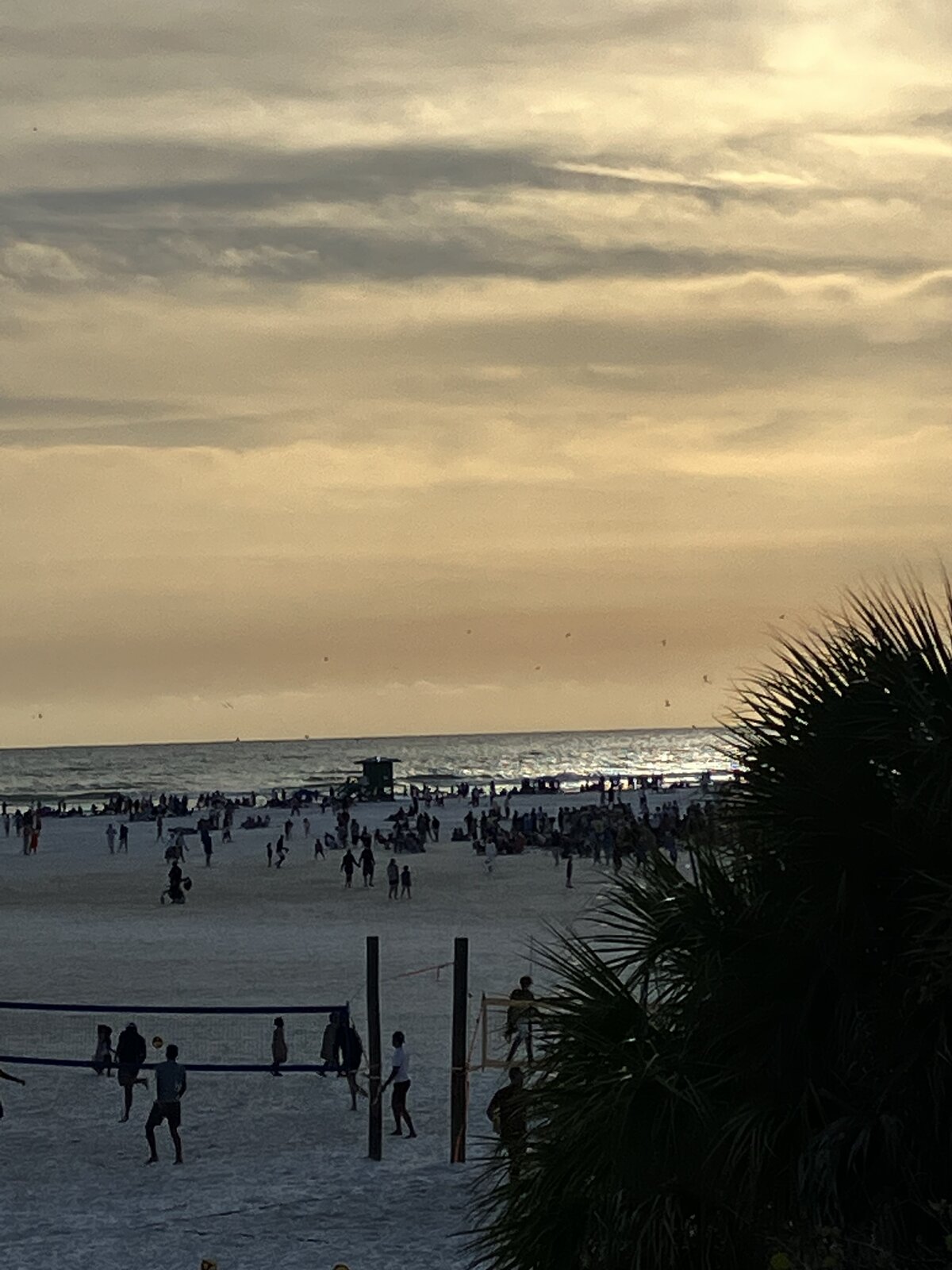 CDBBB06D-193A-495C-A7EF-6AEF33B2AA5C.jpeg