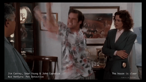 CheerfulWideCockatoo-size_restricted.gif