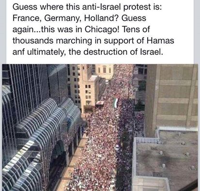 chicagohamas.jpg