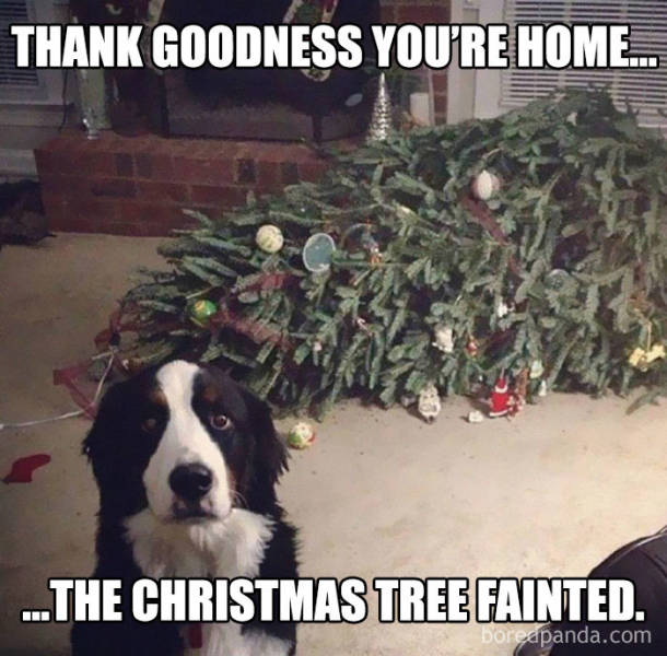 christmas_32.jpg