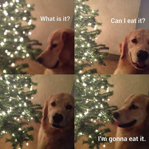 christmas_cheer_640_38.jpg