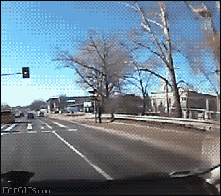 close call 4.gif