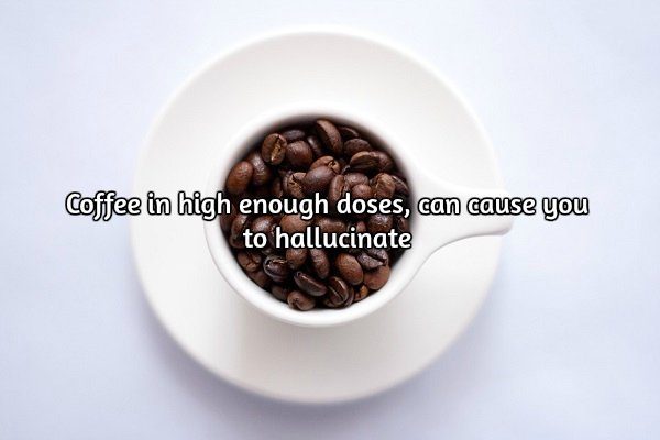 coffee-20-photos-217.jpg