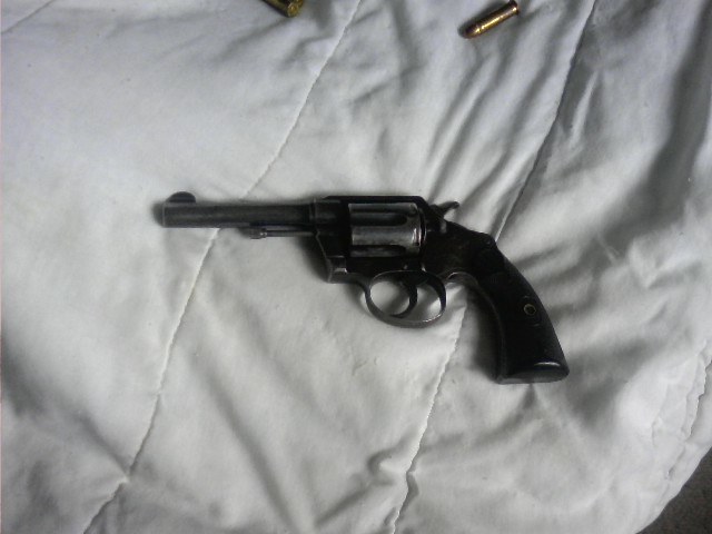 colt 2.jpg