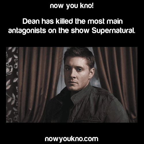 COLuVmYGQvOWA.gif