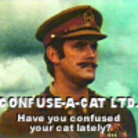 confuse a cat.png