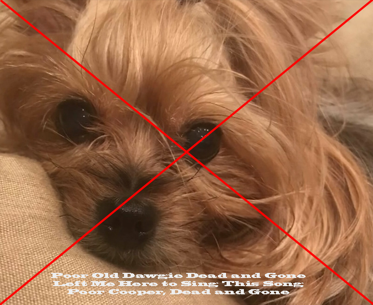 cooper.jpg