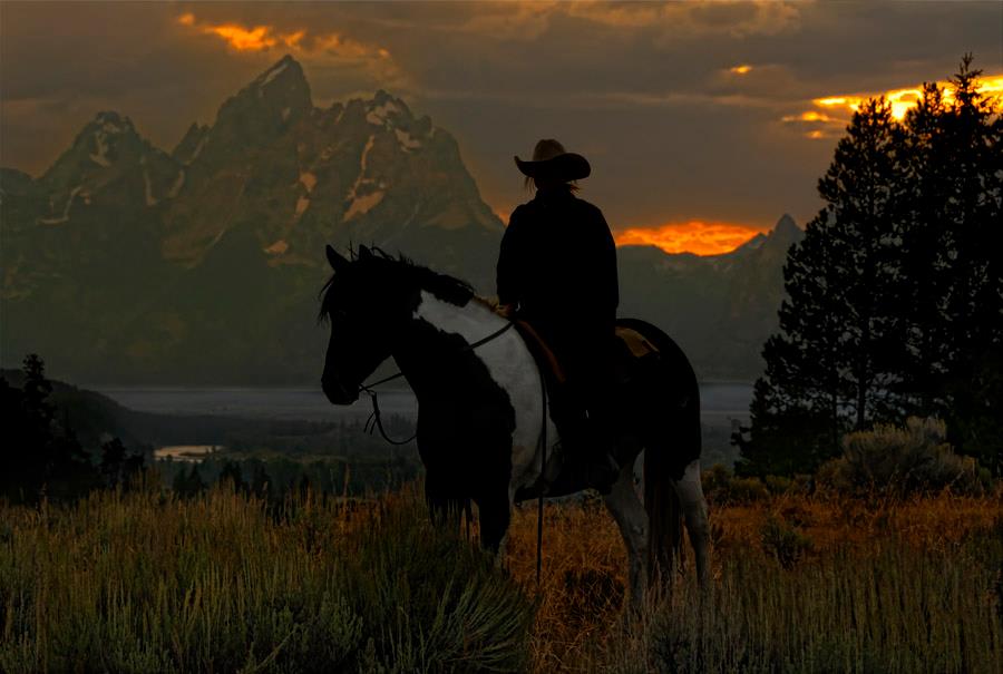 Cowgirl in the Tetons XXX Ranch.jpg