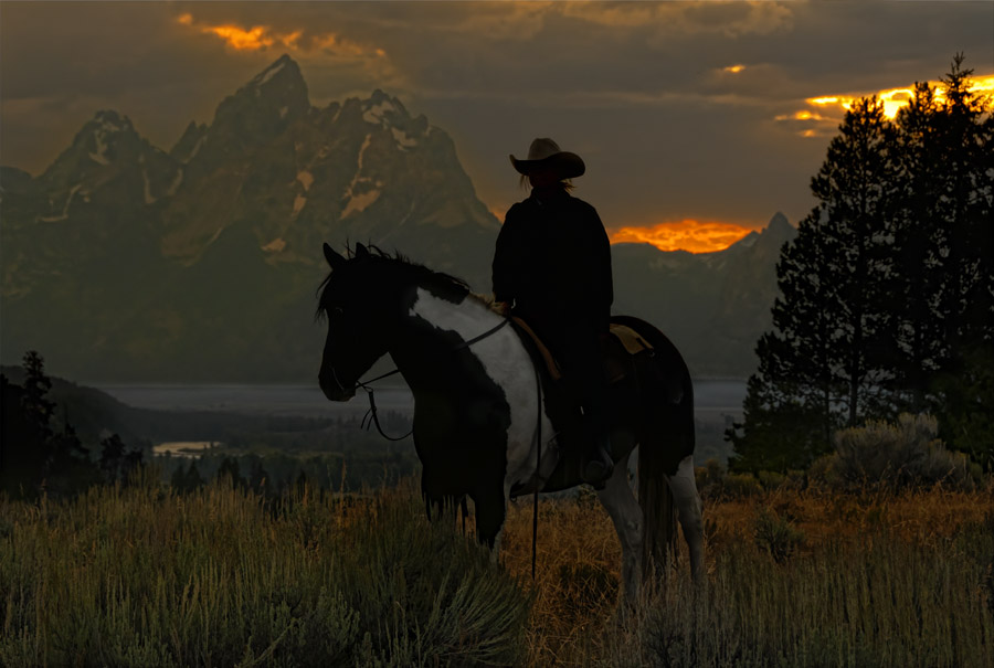 Cowgirl Silhouette_5379_Final_web.jpg