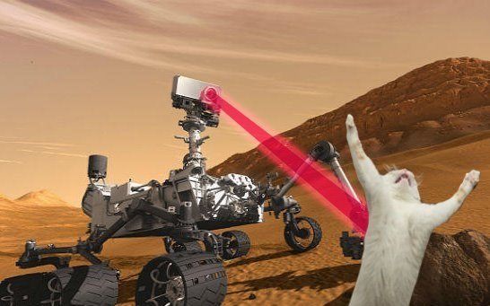 Curiosity+killed+the+cat.jpg