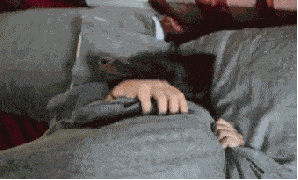 cvb.gif