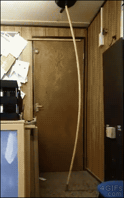 D01Bgx73T13Us.gif