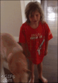 D10EC8C2-1FDB-43C1-801B-1916F21E9BC4.gif