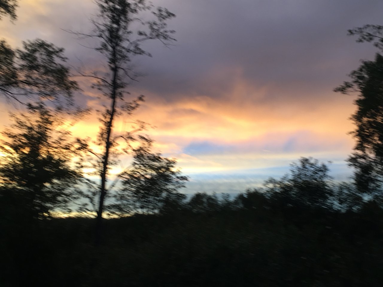 D307DE32-8ABF-4DF0-B80F-6A4E2355F2C8.jpeg