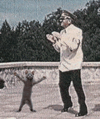D54E4C93-2BFD-4124-9936-2DE6A061E8E3.gif