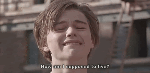 D72147F1-56F5-4B8D-A7CF-53F18D7987A5.gif