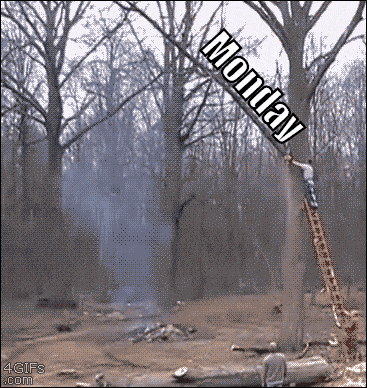 daily-afternoon-randomness-49-photos-13.gif