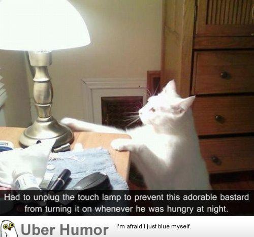 daily-morning-awesomeness-281.jpg