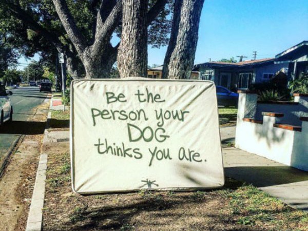 daily-morning-awesomeness-35-photos.jpg