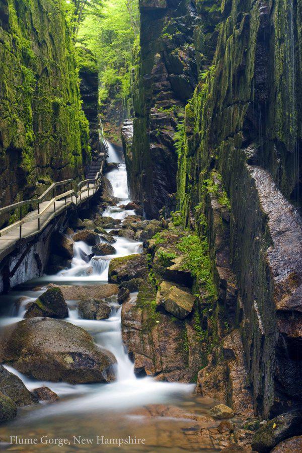 daily-morning-awesomeness-40-photos-36.jpg