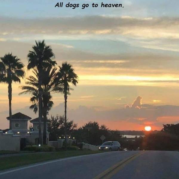 daily_12.jpg