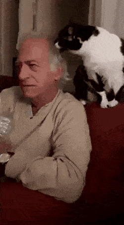 daily_16.gif