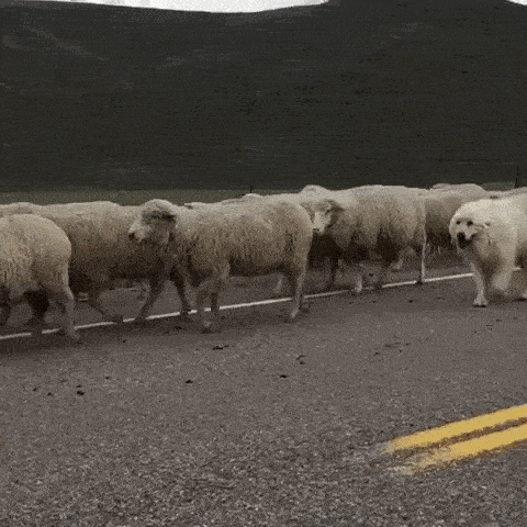 daily_gifdump_1005_07.gif