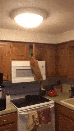 daily_gifdump_1005_08.gif
