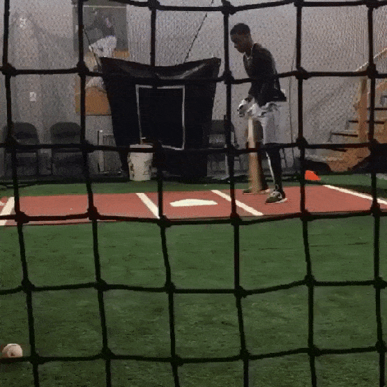 daily_gifdump_1005_27.gif