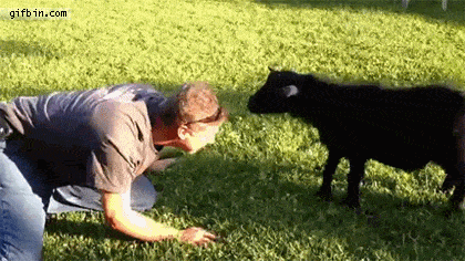 daily_gifdump_1007_22.gif
