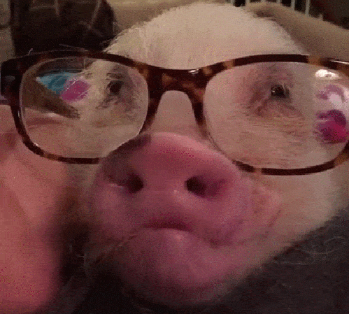 daily_gifdump_1016_07.gif