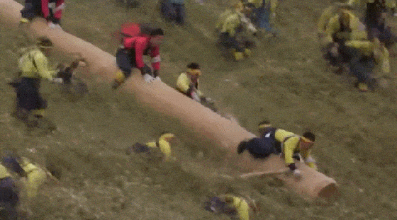 daily_gifdump_1081_12.gif